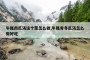 牛尾南瓜汤这个菜怎么做,牛尾骨冬瓜汤怎么做好吃