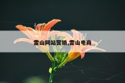 雷山网站营销,雷山电商