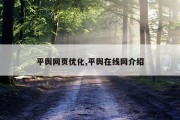 平舆网页优化,平舆在线网介绍