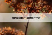 保定网络推广,网络推广平台