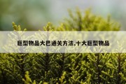 巨型物品大巴通关方法,十大巨型物品