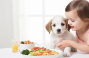 狗狗幼犬怎么养,幼狗怎么养效果最好