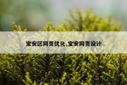 宝安区网页优化,宝安网页设计