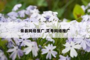 景县网络推广,灵寿网络推广