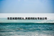东至关键词优化,关键词优化专业公司