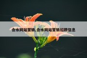 合水网站营销,合水网站营销招聘信息