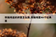 铁锅炖送的拌菜怎么做,铁锅炖菜40个经典菜