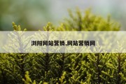 浏阳网站营销,网站营销网