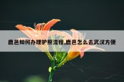 鹿邑如何办理护照流程,鹿邑怎么去武汉方便