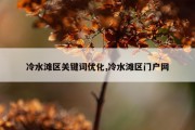 冷水滩区关键词优化,冷水滩区门户网
