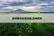 昆明假证办理流程,昆明假章