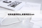 松阳关键词优化,关键词优化seo