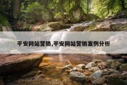 平安网站营销,平安网站营销案例分析