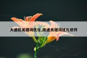 大通区关键词优化,南通关键词优化软件