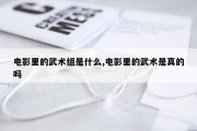 电影里的武术组是什么,电影里的武术是真的吗