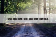 武川网站营销,武川网站营销招聘信息