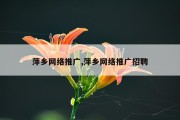 萍乡网络推广,萍乡网络推广招聘