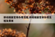 移动瑞丽宽带办理流程,移动瑞丽宽带办理流程及费用