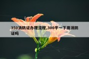 350消防证办理流程,300平一下用消防证吗