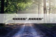 桐城网络推广,同城网络推广