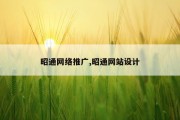 昭通网络推广,昭通网站设计