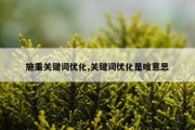 施秉关键词优化,关键词优化是啥意思