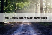 金城江区网站营销,金城江区网站营销公司