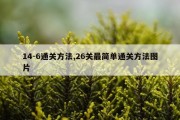14-6通关方法,26关最简单通关方法图片
