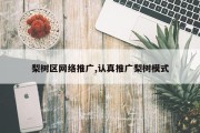 梨树区网络推广,认真推广梨树模式
