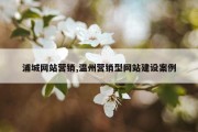 浦城网站营销,温州营销型网站建设案例