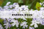 奎屯网页优化,奎屯论坛