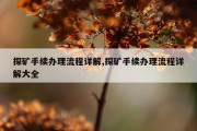 探矿手续办理流程详解,探矿手续办理流程详解大全