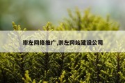 崇左网络推广,崇左网站建设公司