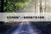 左权网络推广,一亩桃树能产多少桃胶