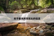 关于偏关网页优化的信息