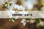 本溪网络推广,本溪广告