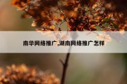 南华网络推广,湖南网络推广怎样