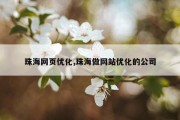 珠海网页优化,珠海做网站优化的公司