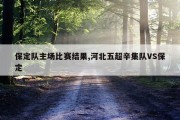 保定队主场比赛结果,河北五超辛集队VS保定