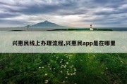 兴惠民线上办理流程,兴惠民app是在哪里