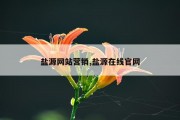盐源网站营销,盐源在线官网