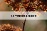 亮哥今晚比赛结果,亮哥解说