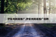 伊犁州网络推广,伊犁州网络推广招聘