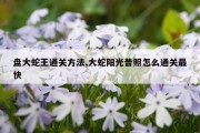 盘大蛇王通关方法,大蛇阳光普照怎么通关最快
