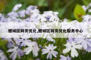 鲤城区网页优化,鲤城区网页优化服务中心