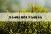 济南排球比赛结果,济南排球场地