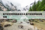 能干的后辈葵酱通关方法,能干的后葵酱在哪发售