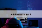 关于隆子网页优化的信息