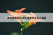 开化网页优化,开化网页优化怎么设置