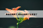 黄金价格跌了,黄金价格跌了还是涨了